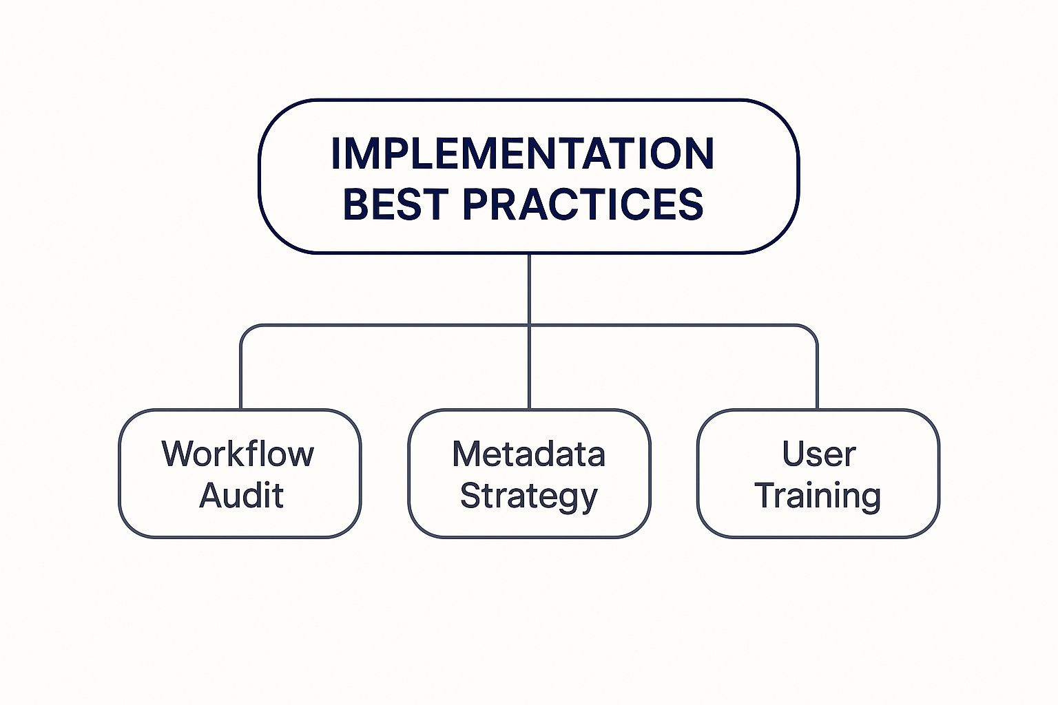 Infographic about digital asset management software