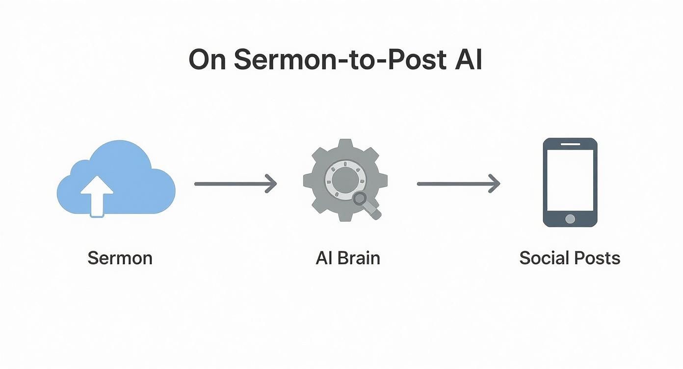 Infographic about social media automation tools