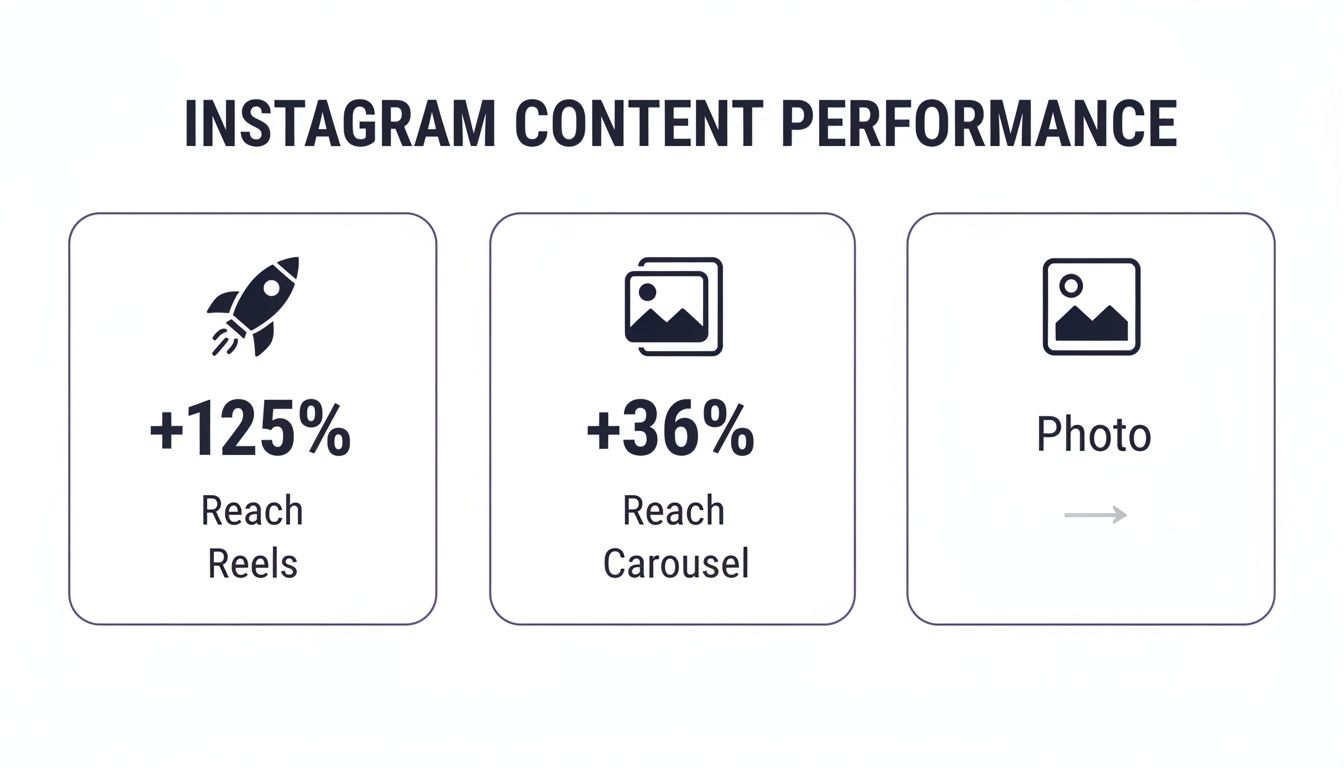 An infographic showing Instagram content performance: Reels with +125% reach, Carousels with +36% reach, and Photos.