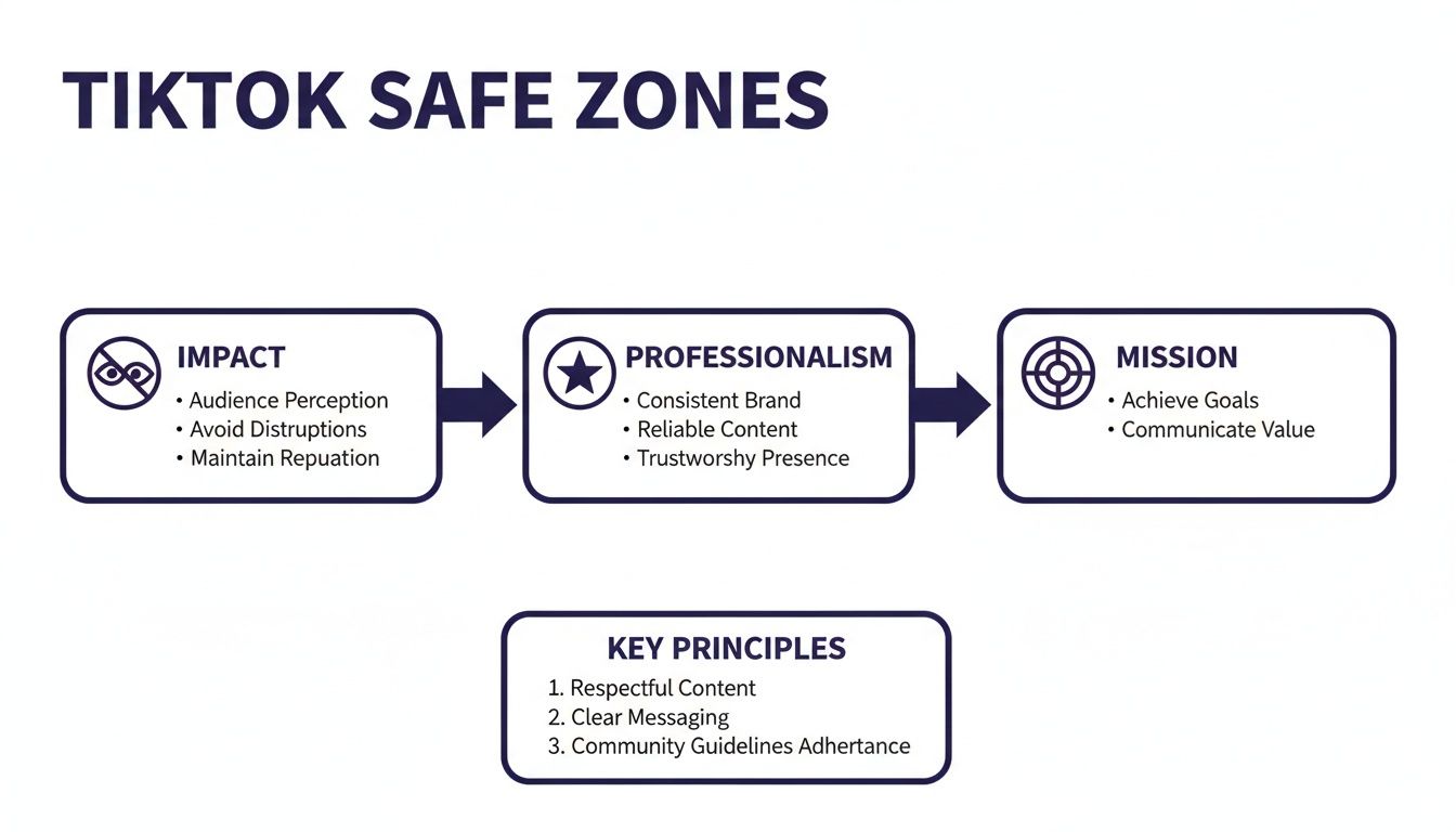 A flowchart outlines TikTok safe zones, detailing impact, professionalism, mission, and key principles for content.