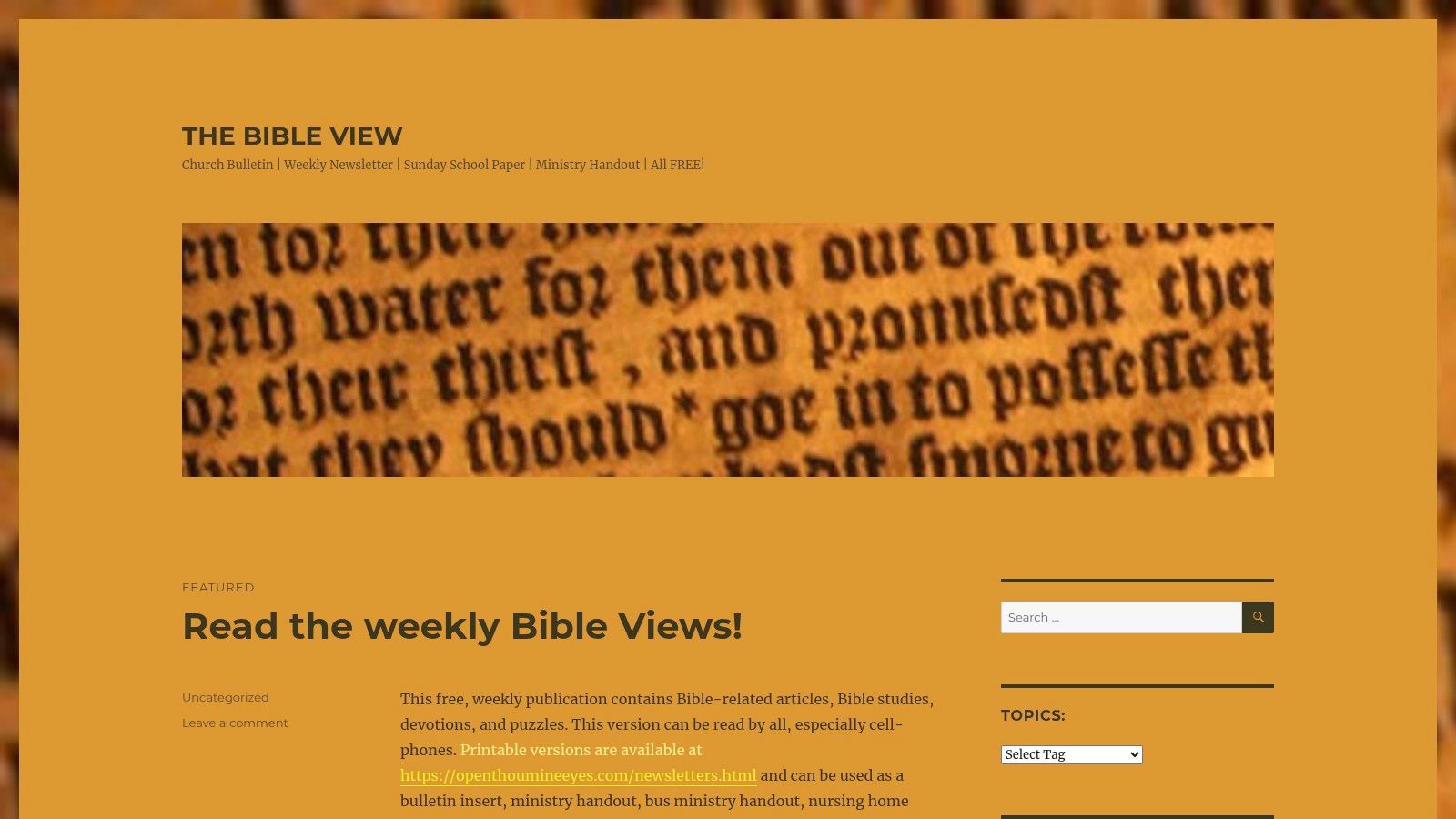 The Bible View (weekly bulletin insert)