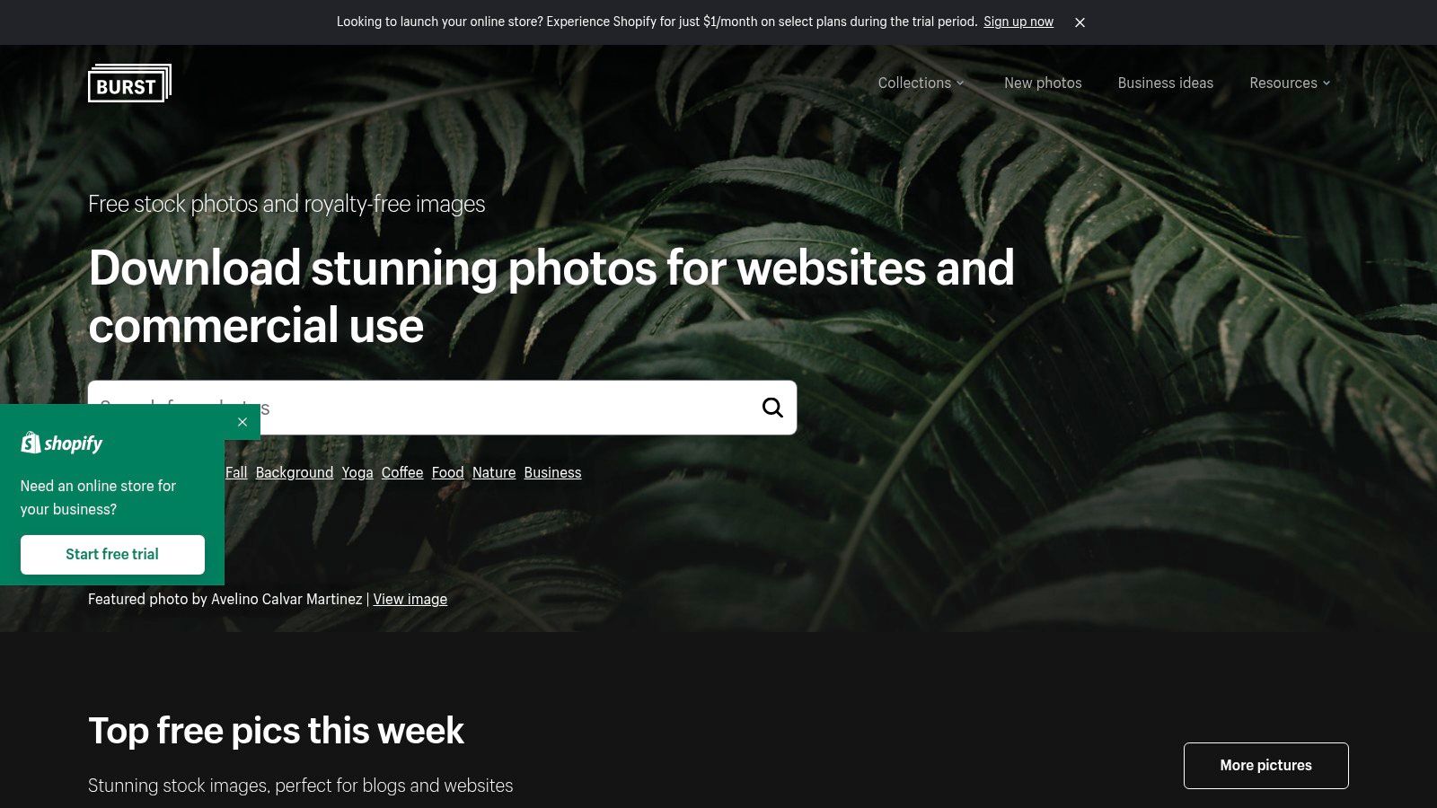 Burst (Shopify Stock Photos)