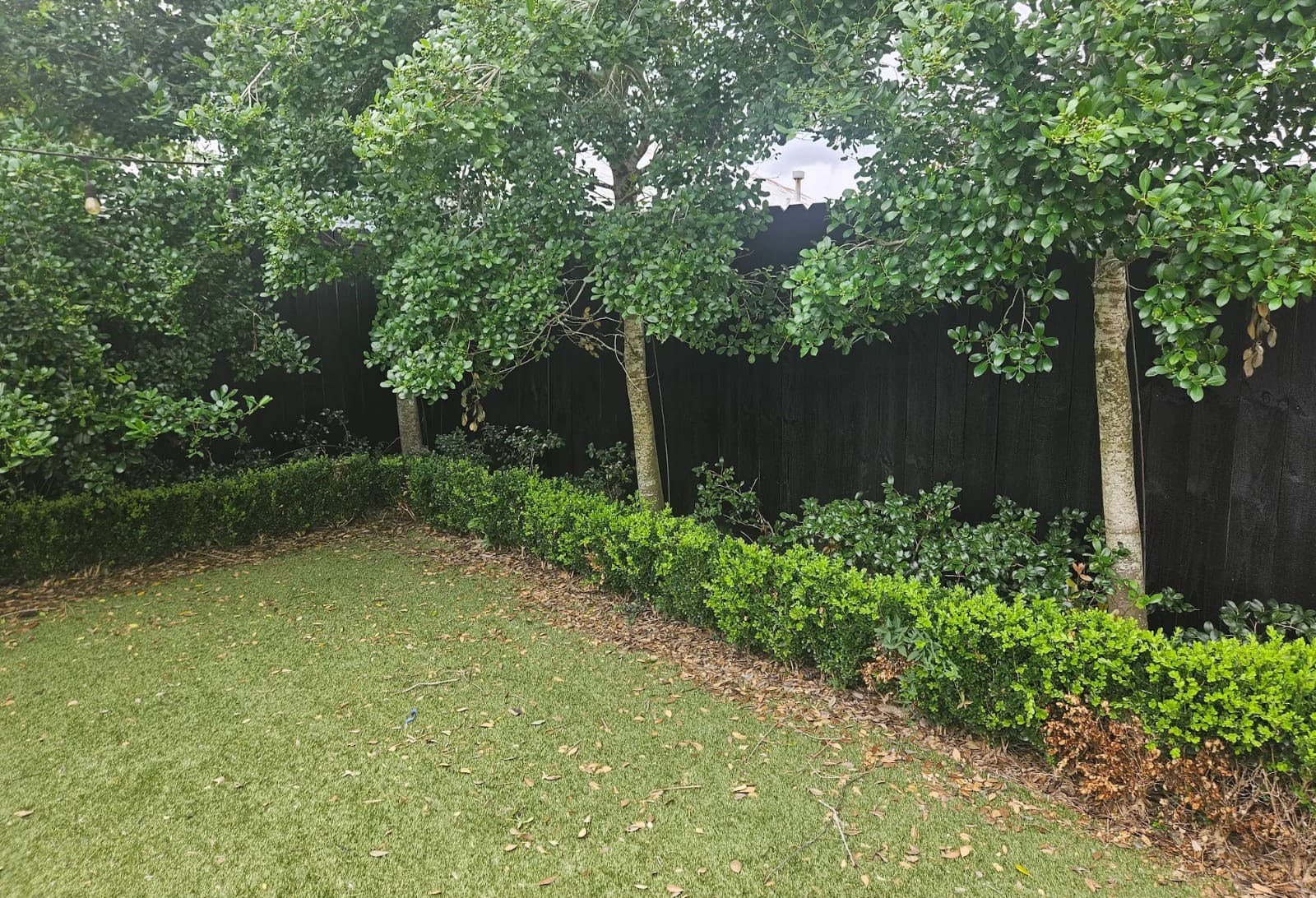 backyard fence replacement - zuppardos renovation