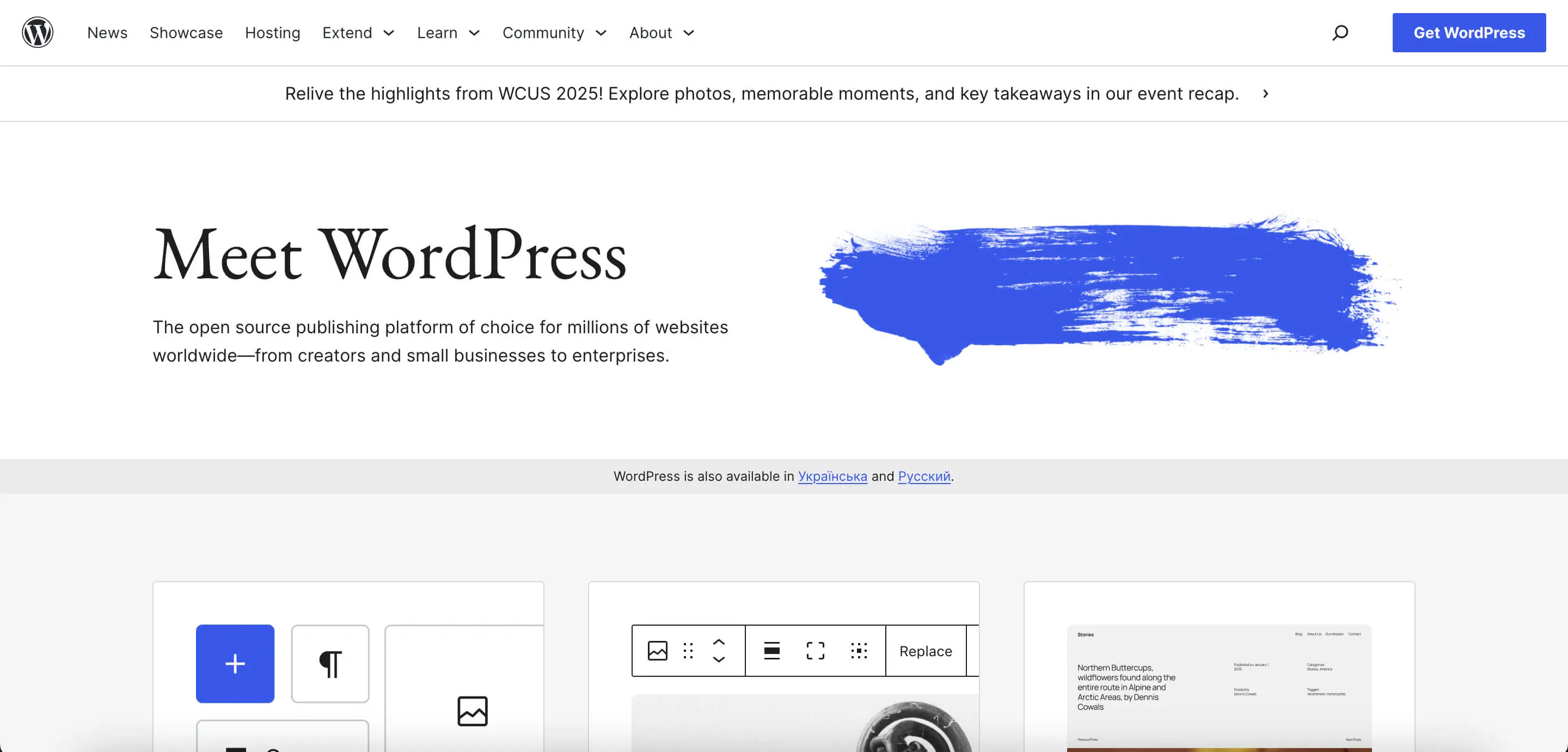 WordPress website builder homepage