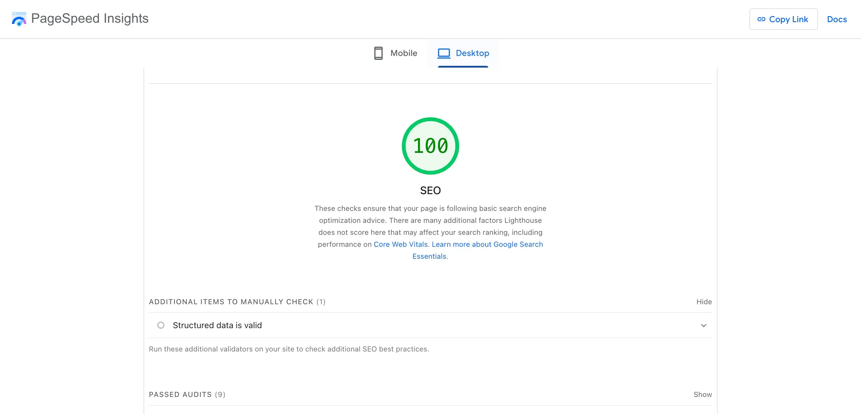 Screenshot showing perfect SEO score during website audit checklist review in Google PageSpeed Insights