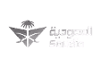 Saudia logo featuring a stylized palm tree and crossed swords with 'flynas Saudi' text.