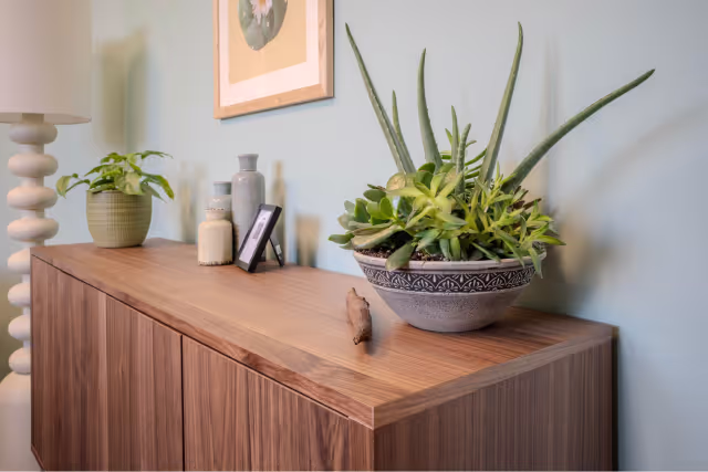 Image of some of the natural elements in Lumin Health clinics in Boston Area for ketamine therapy and Spravato treatment more warm and inviting
