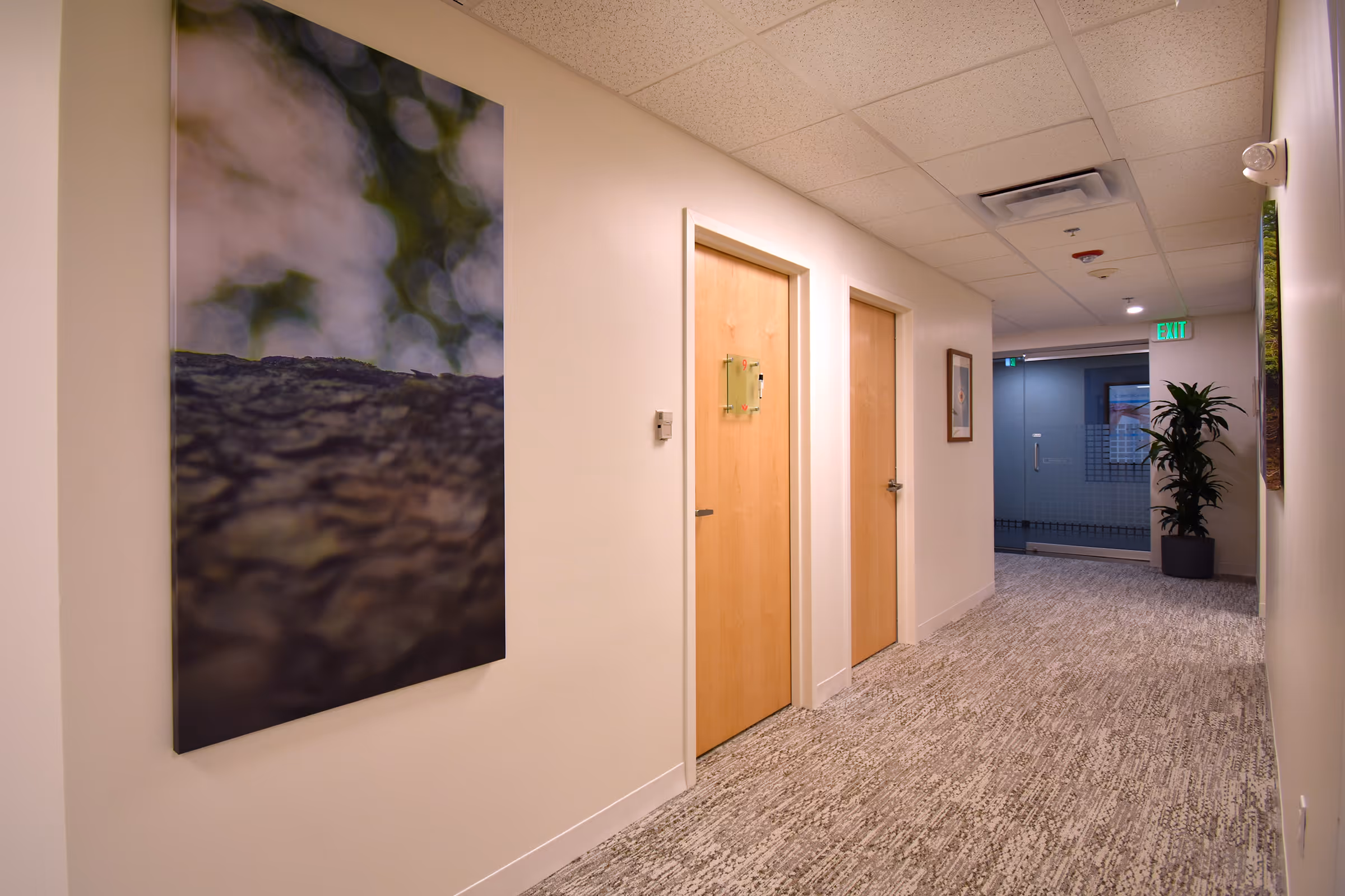 A calm, warmly lit Lumin Health hallway with nature artwork, wood doors, carpet, and a potted plant