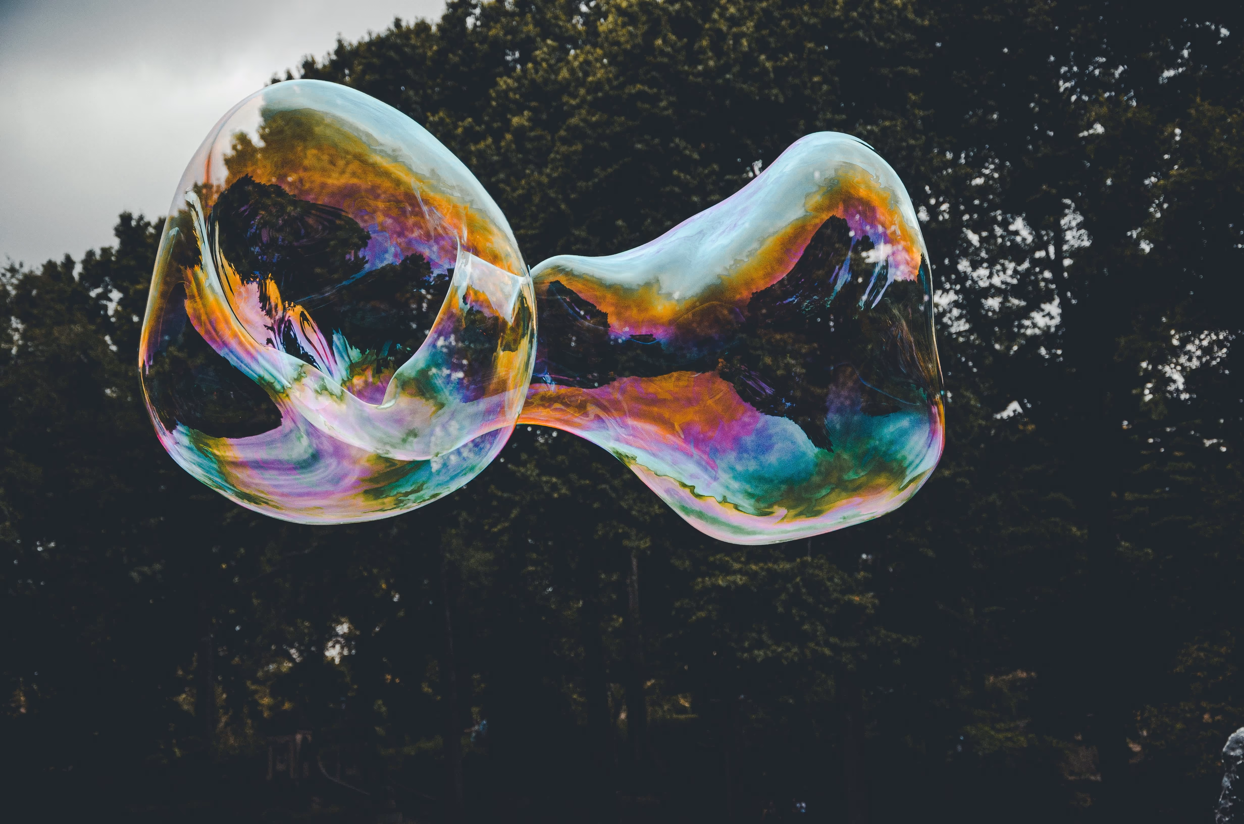 A large iridescent soap bubble drifting against dark green trees and an overcast sky