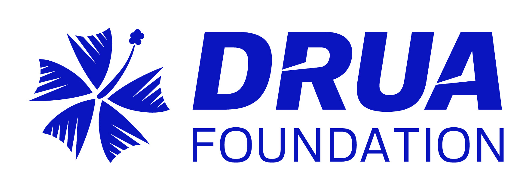 Drua Foundation Fiji logo — rugby and community development organisation in Fiji, supported by the Reddy Foundation