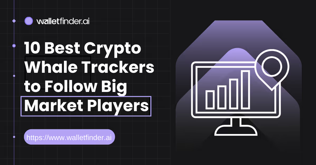 10 Best Crypto Whale Tracker to Follow Big Market Players