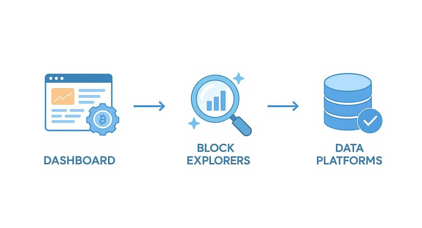Infographic about track crypto wallets
