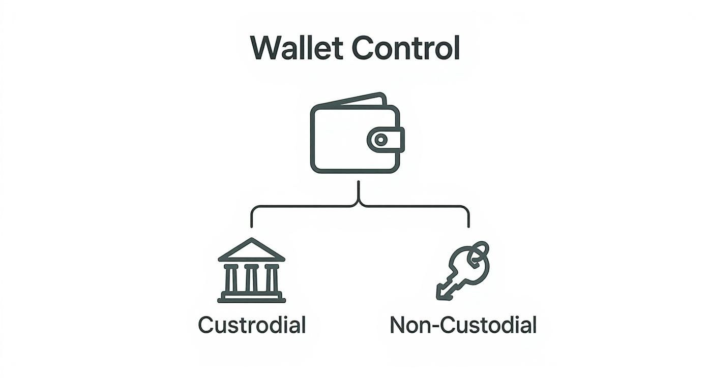 Infographic about crypto defi wallet