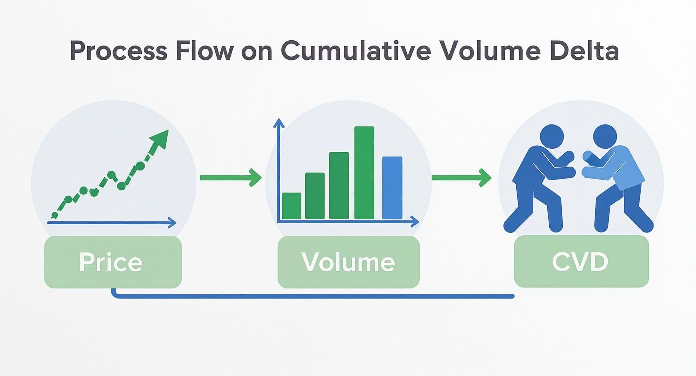 A diagram illustrating the process flow of price and volume leading to Cumulative Volume Delta (CVD) analysis.