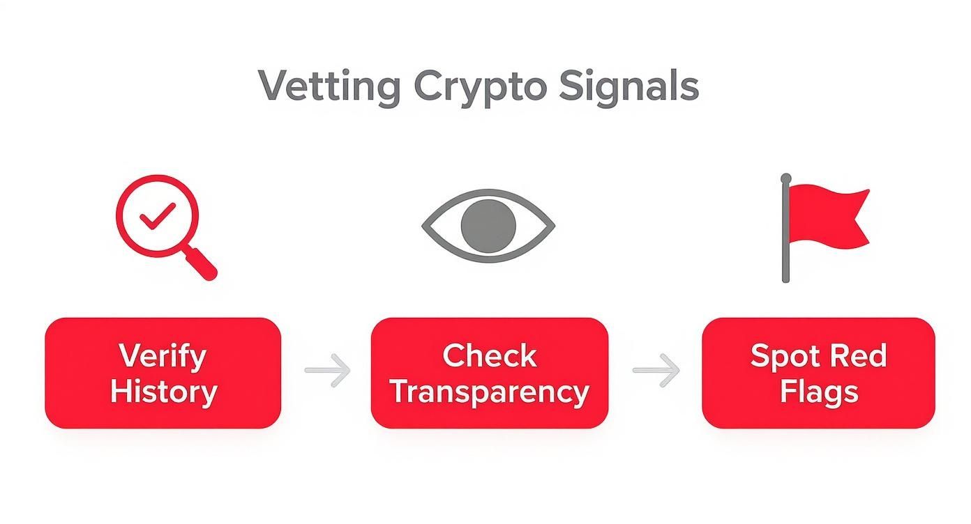 A visual guide illustrating three steps for vetting crypto signals: verify history, check transparency, spot red flags.