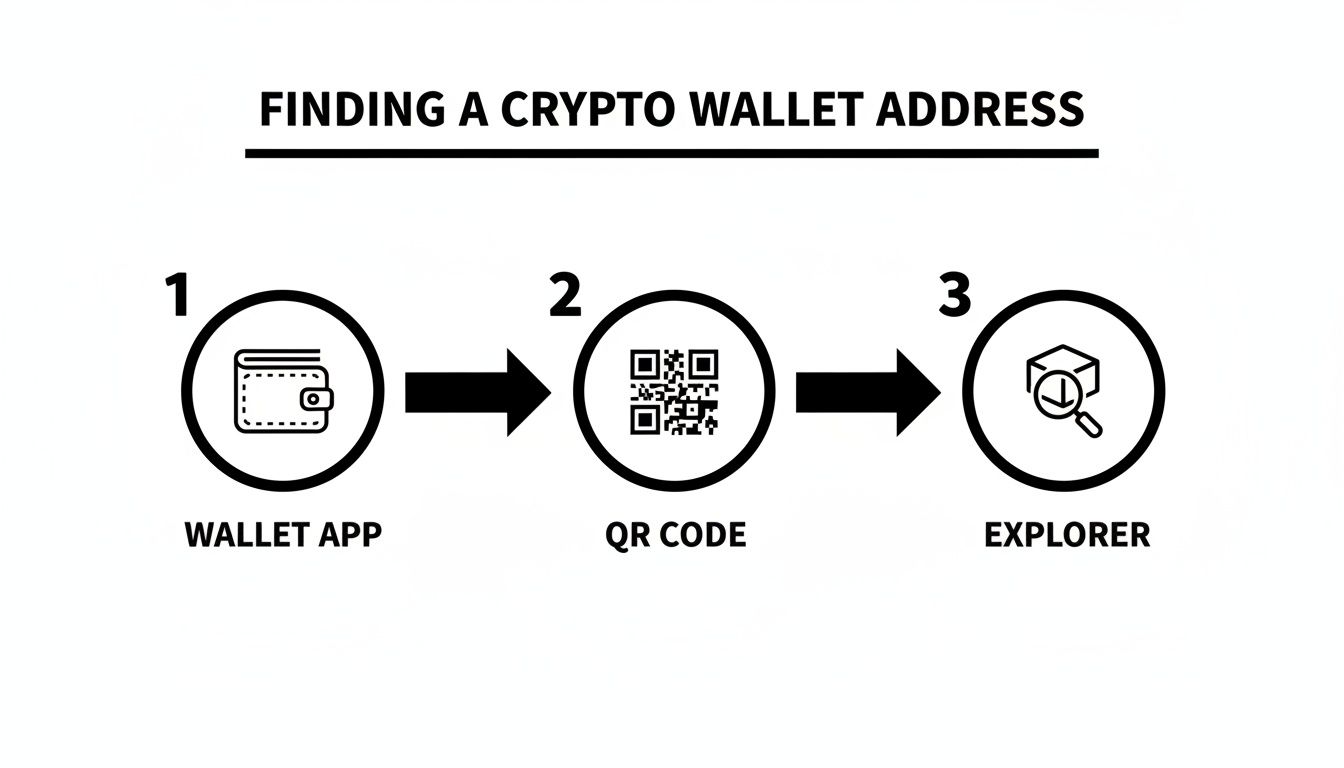 Infographic illustrating a three-step process to find a crypto wallet address: wallet app, QR code, and explorer.