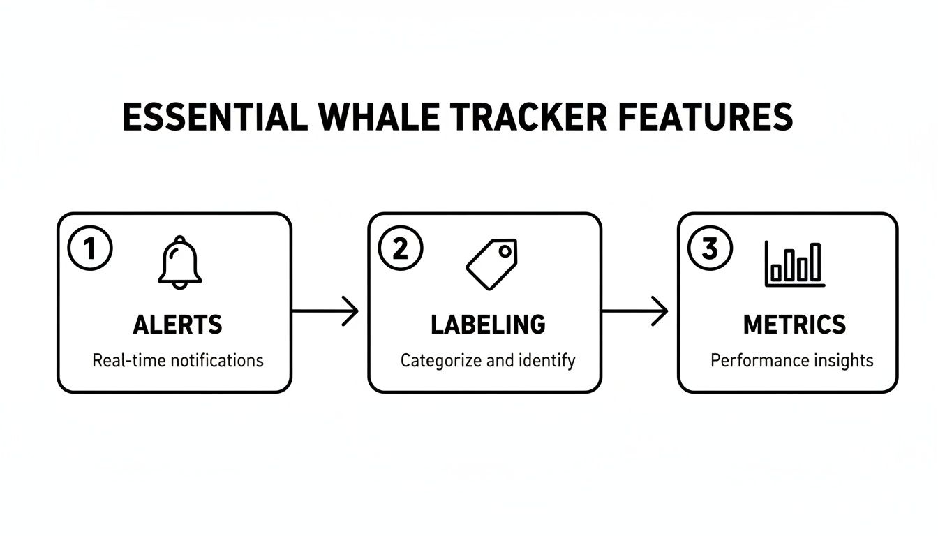 A diagram showing essential whale tracker features: Alerts, Labeling, and Metrics for insights.
