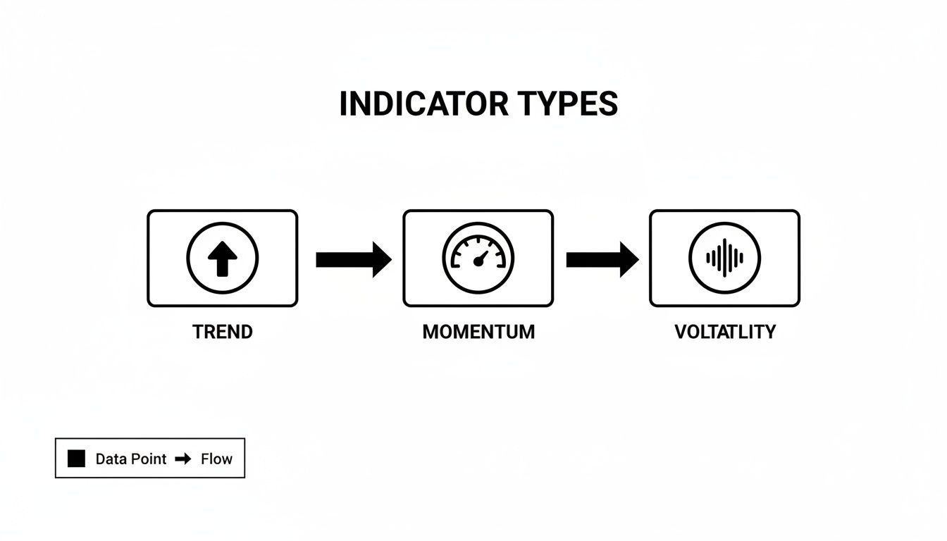 Flowchart illustrating three indicator types: Trend, Momentum, and Volatility, with corresponding icons.