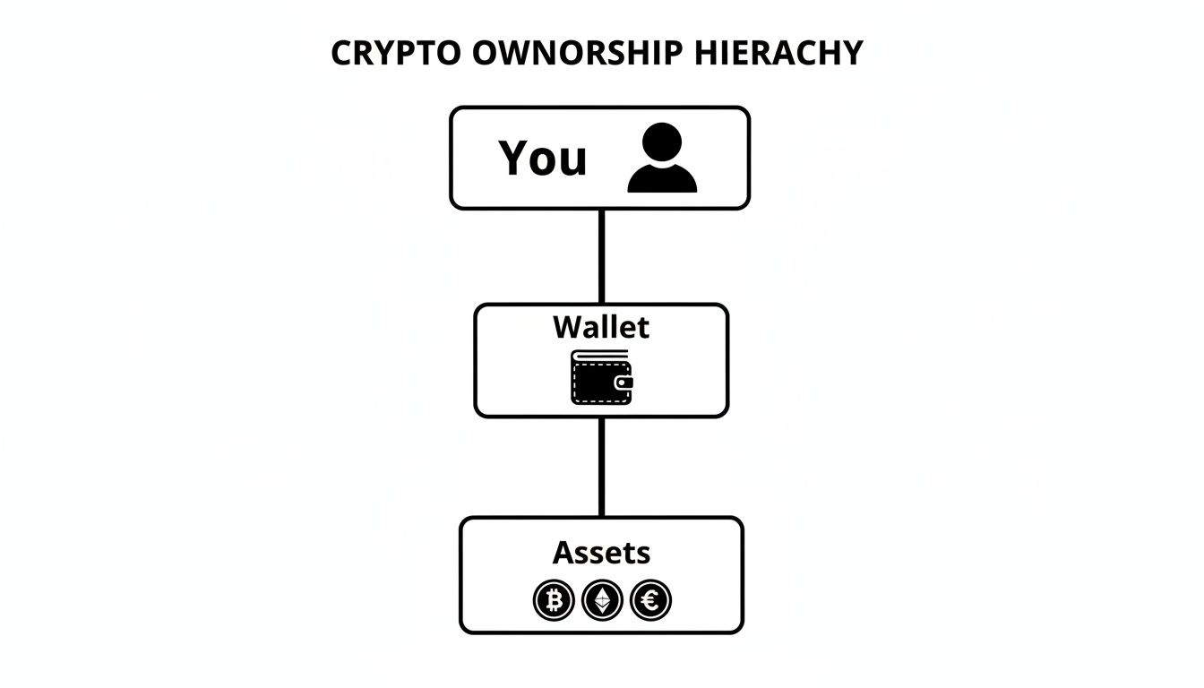 Hierarchy chart showing crypto ownership from user to wallet to digital assets.