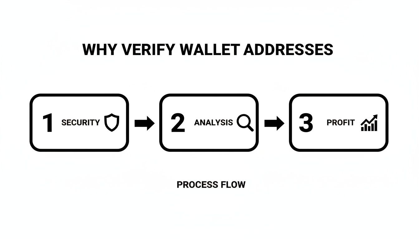 Process flow diagram showing why verifying crypto wallet addresses leads to security, analysis, and profit.