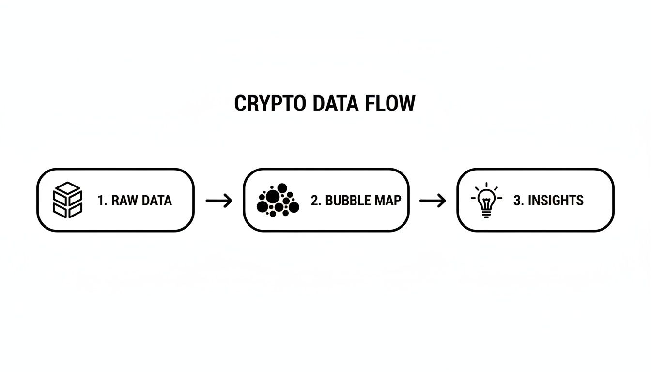 Flowchart illustrating the crypto data flow process, moving from raw data to a bubble map and insights.