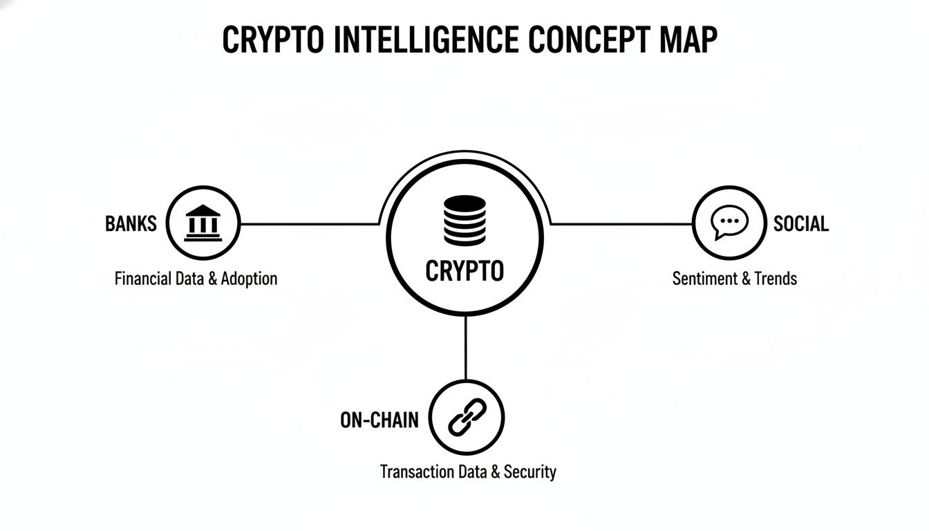 A concept map illustrating crypto intelligence with connections to banks, social media, and on-chain data.