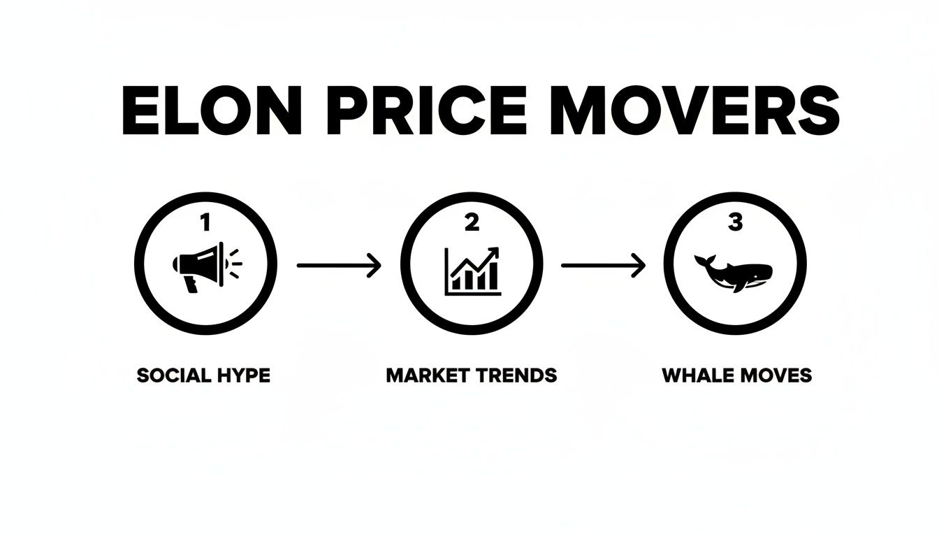 A flowchart illustrates three Elon price movers: social hype, market trends, and whale moves, depicted with icons.