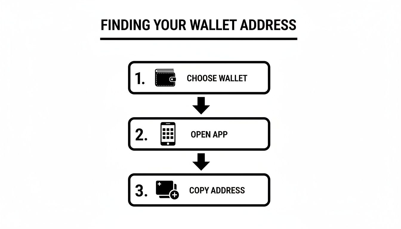 A three-step visual guide on finding your wallet address: choose wallet, open app, copy address.