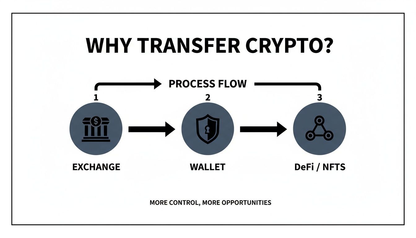 Flowchart illustrating why transfer crypto from an exchange to a wallet for DeFi and NFTs, offering more control.