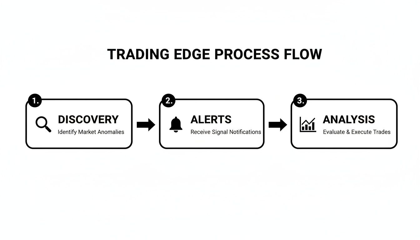 A three-step trading edge process flow diagram, showing discovery, alerts, and analysis stages.