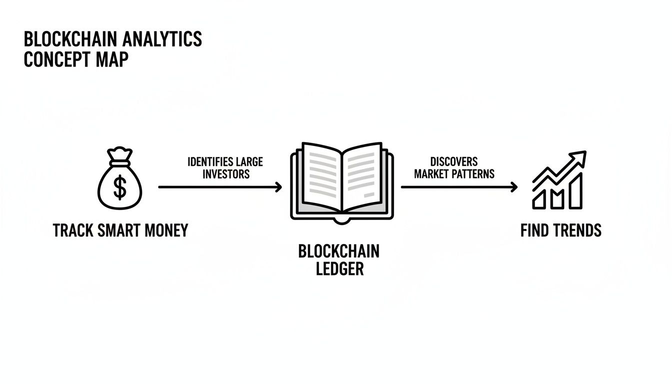 Blockchain analytics concept map showing tracking smart money to identify investors and discover trends from a ledger.