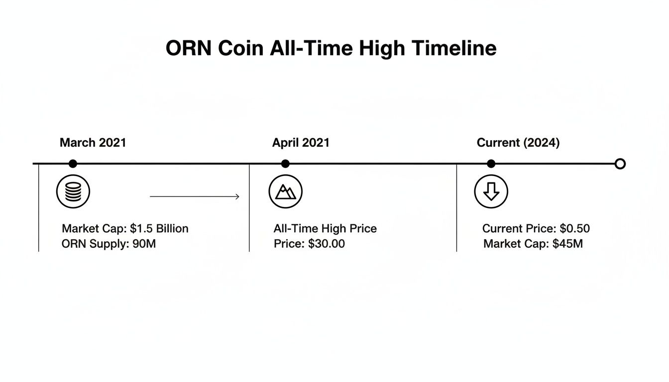 ORN Coin timeline displaying market cap and price from March 2021 to current 2024, including all-time high.