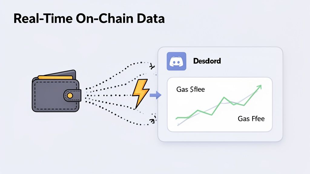 Real-time on-chain data flows from a crypto wallet to a Discord app displaying gas fee charts.