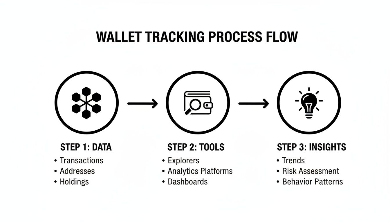 Three-step flow for crypto wallet tracking: data, tools (explorers, platforms), and insights (trends, risk).