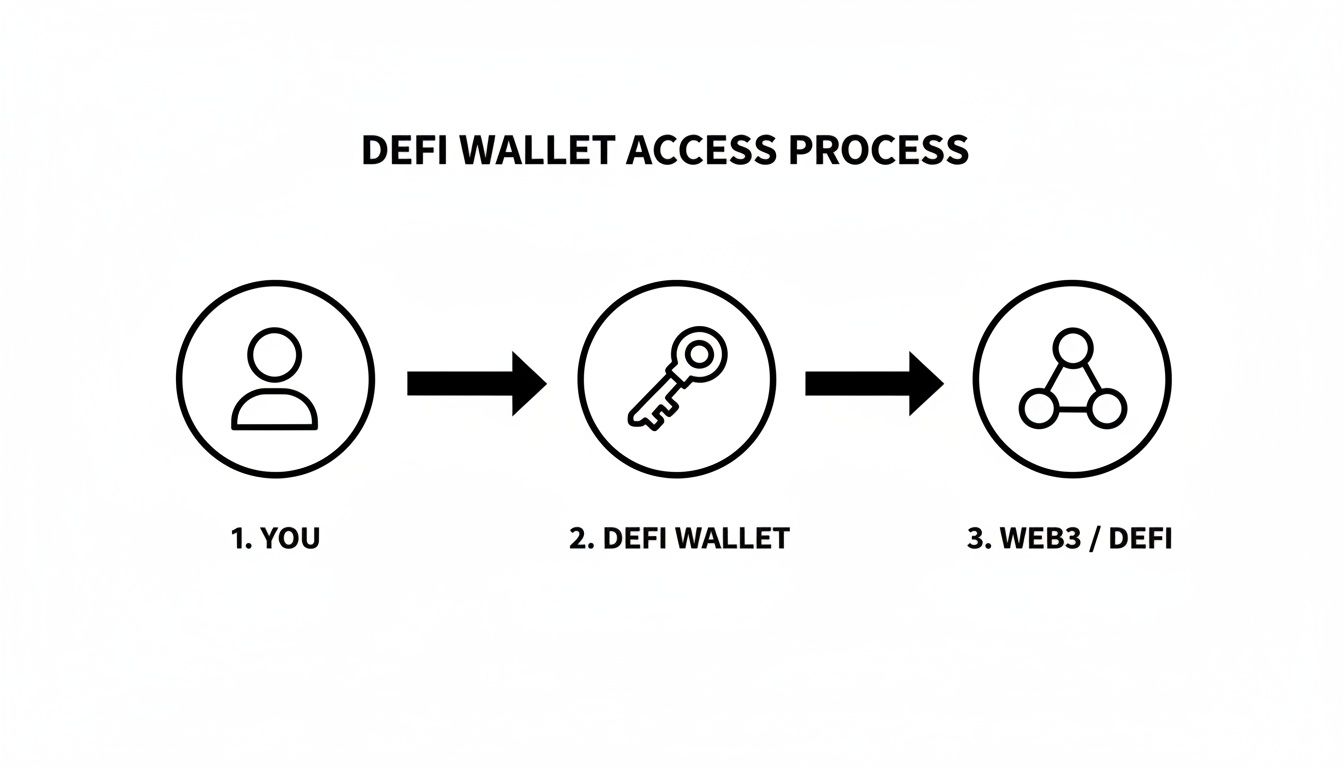 A step-by-step diagram showing the DeFi wallet access process, connecting users to Web3 services.