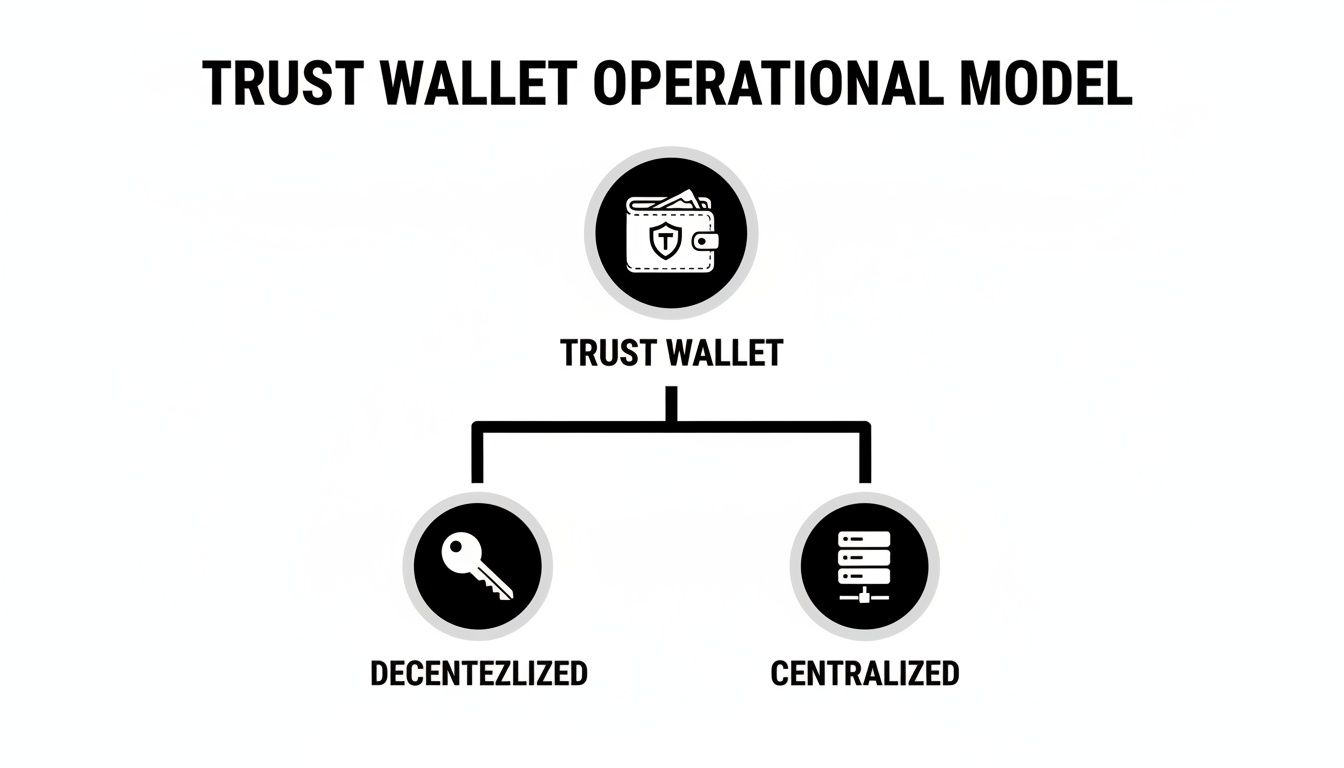 Trust Wallet operational model flowchart showing options for decentralized and centralized architectures.