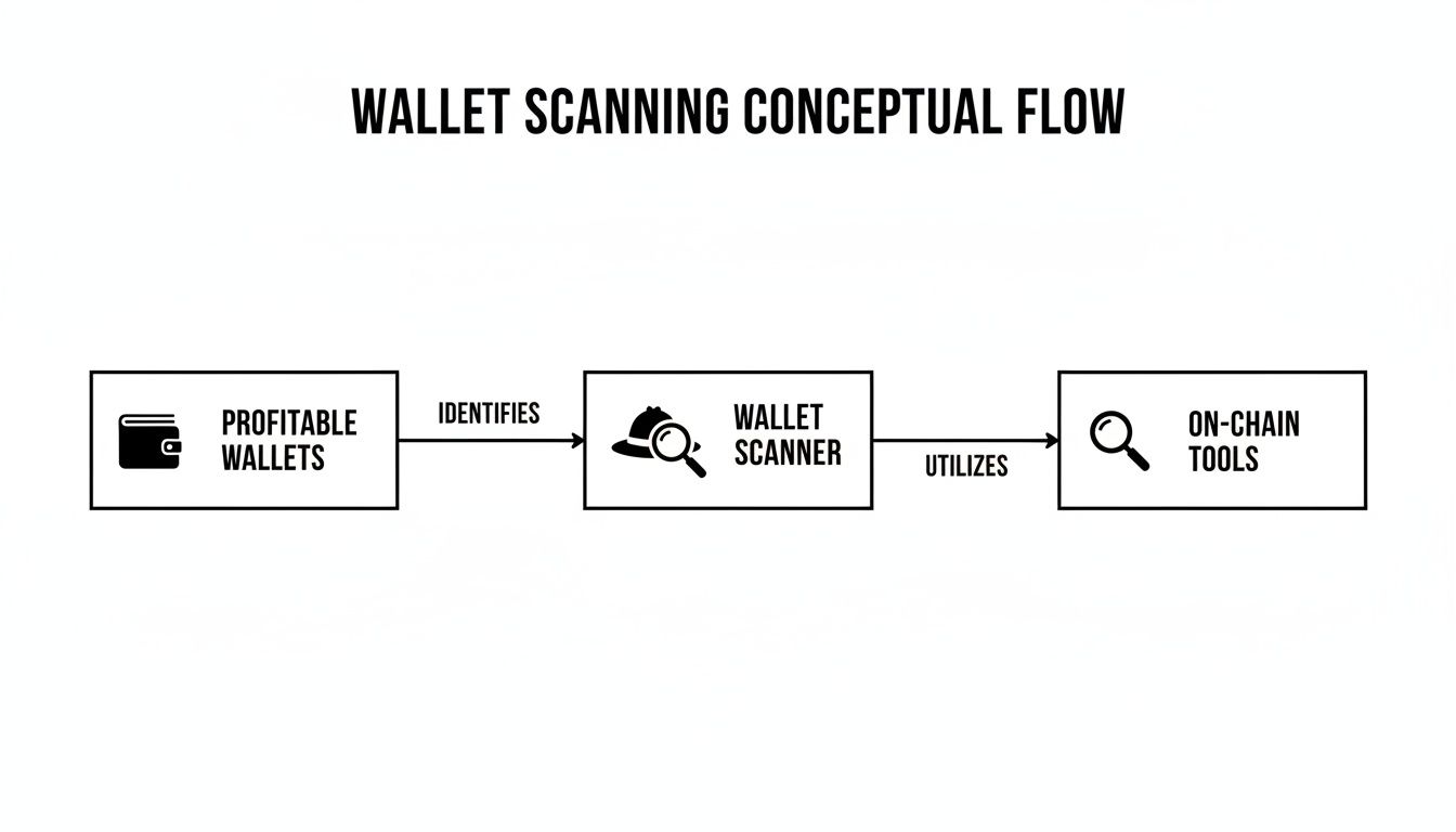 A conceptual flow diagram illustrating how a wallet scanner identifies profitable wallets and utilizes on-chain tools.
