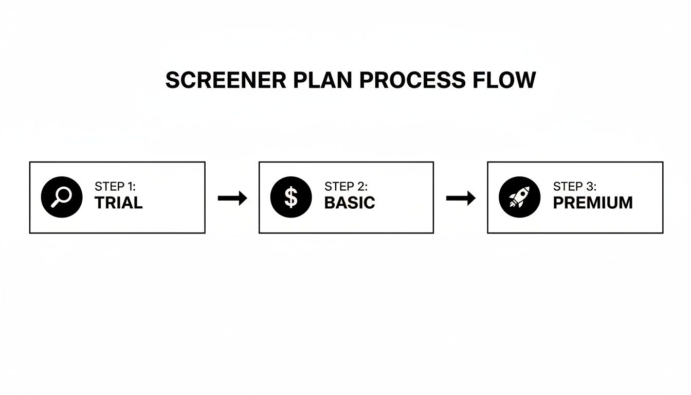 A flow chart illustrating the Screener Plan process with three steps: Trial, Basic, and Premium.