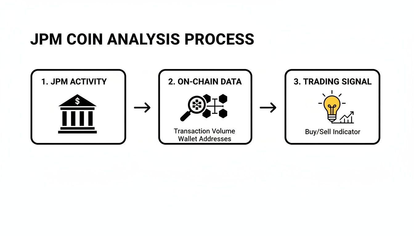 Flowchart showing the JPM Coin analysis process with steps for activity, on-chain data, and trading signals.