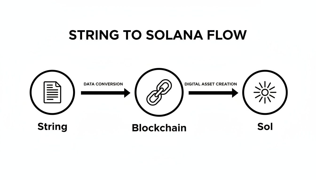 Diagram illustrating the String to Solana flow, showing data conversion to blockchain and digital asset creation to Sol.