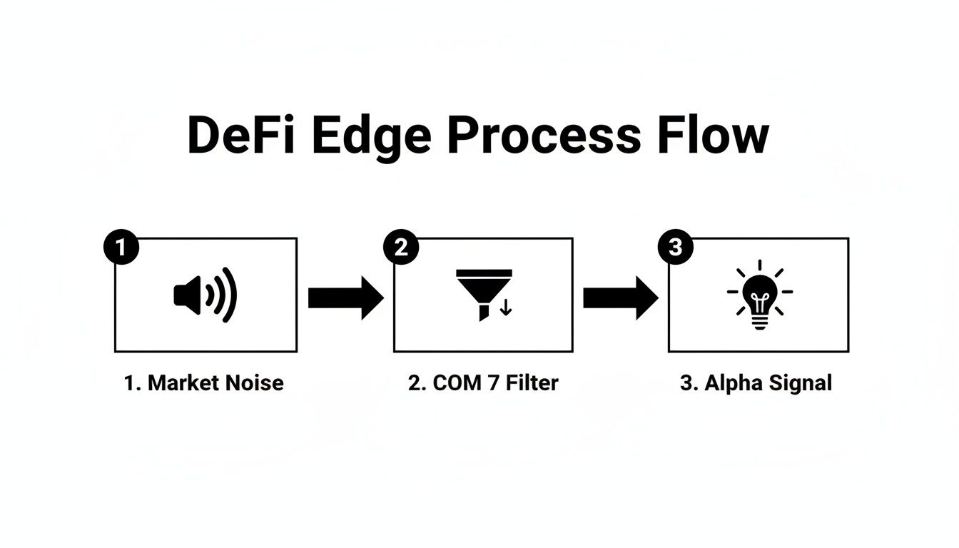 DeFi Edge Process Flow diagram showing market noise filtered by COM 7 to generate an alpha signal.