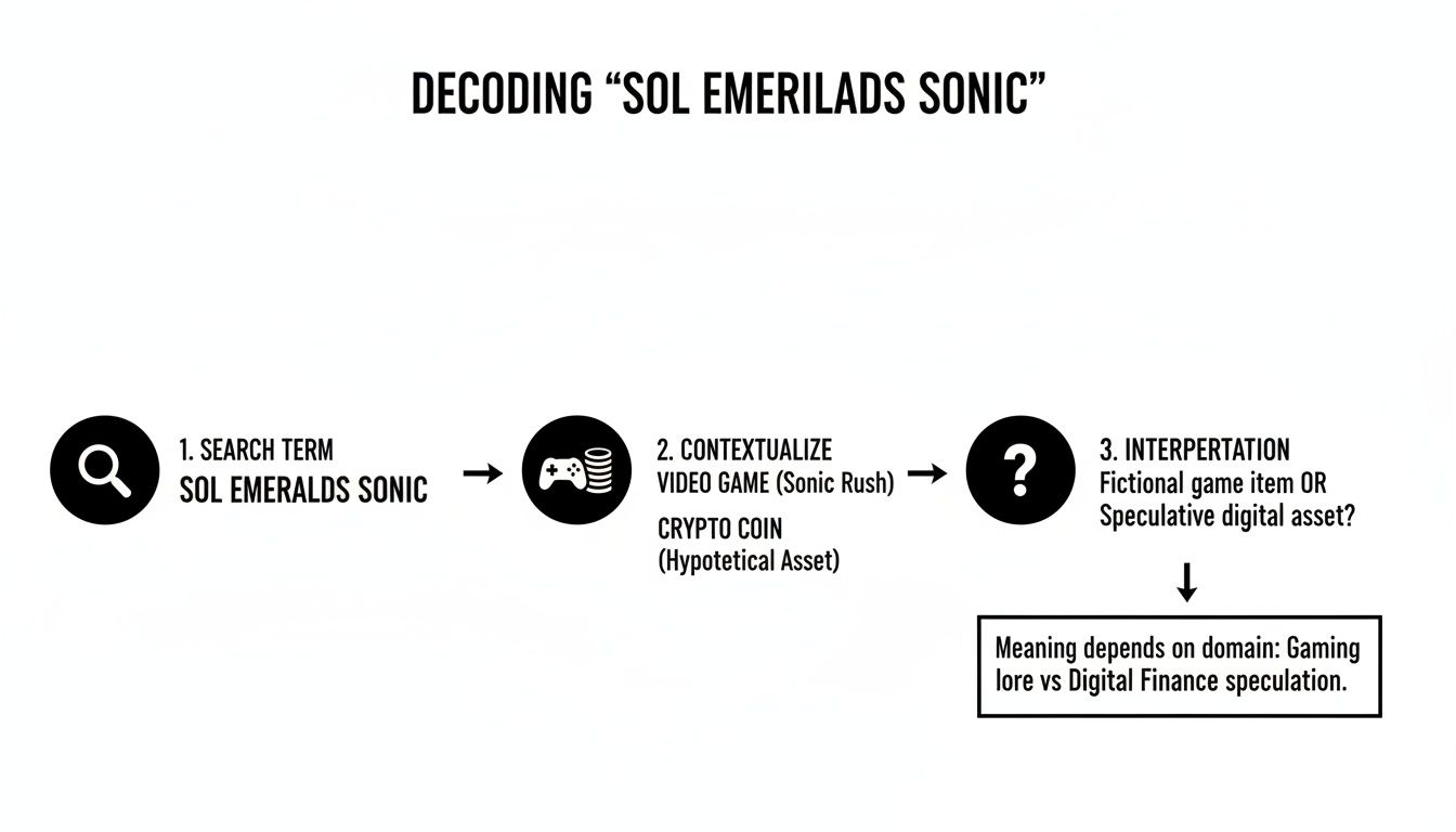 Flowchart decodes the term 'Sol Emeralds Sonic' by contextualizing it as a video game item or crypto asset, emphasizing domain-dependent interpretation.