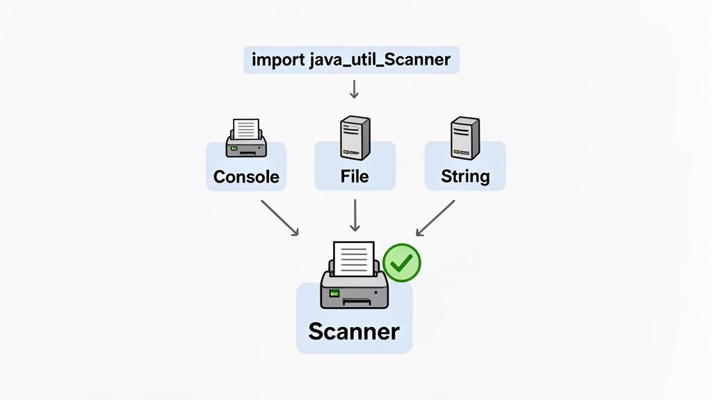 Diagram showing Java's Scanner API reading input from console, files, and string sources.