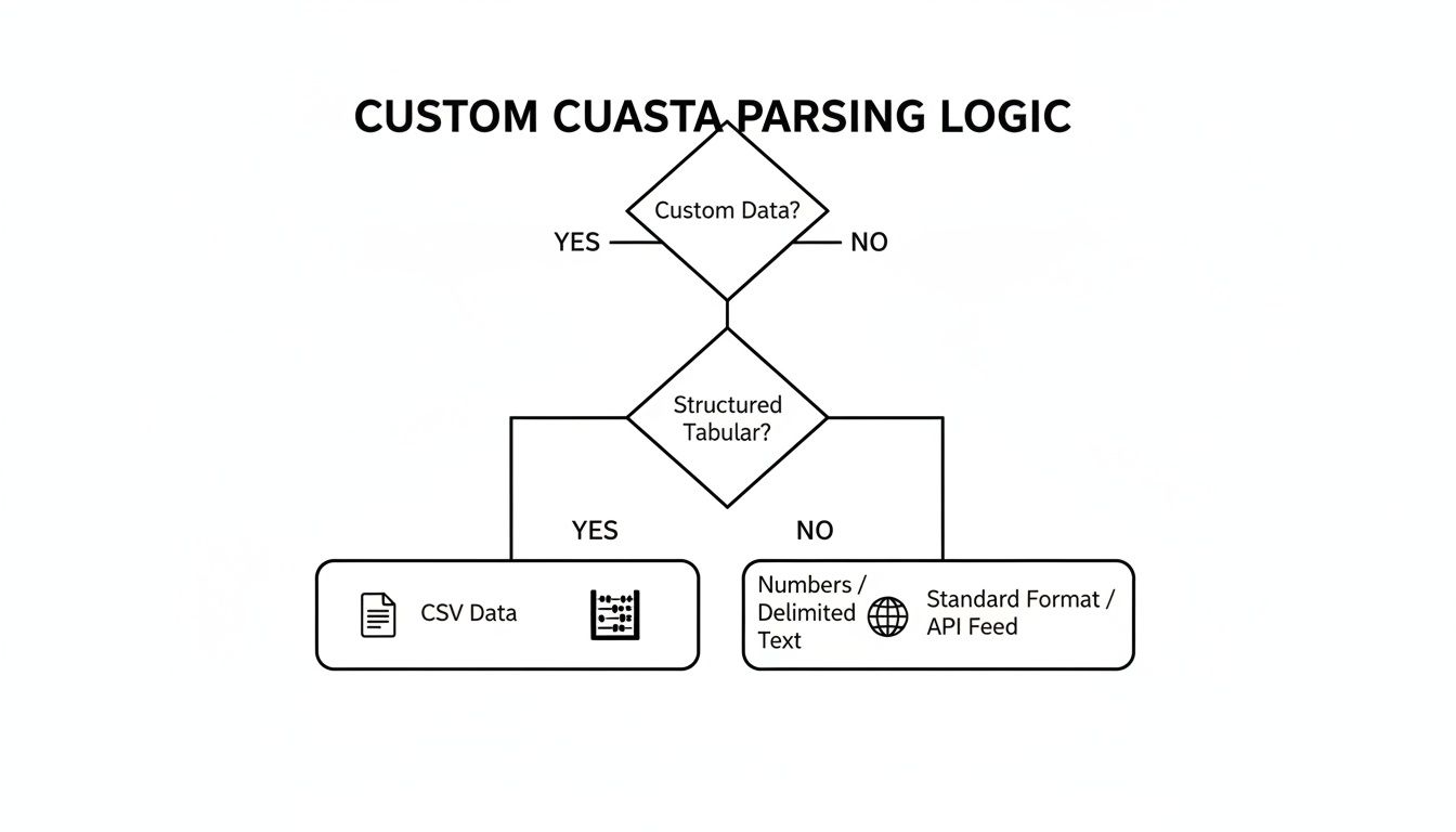 Flowchart illustrating custom data parsing logic, distinguishing between tabular, delimited, and API feed data.