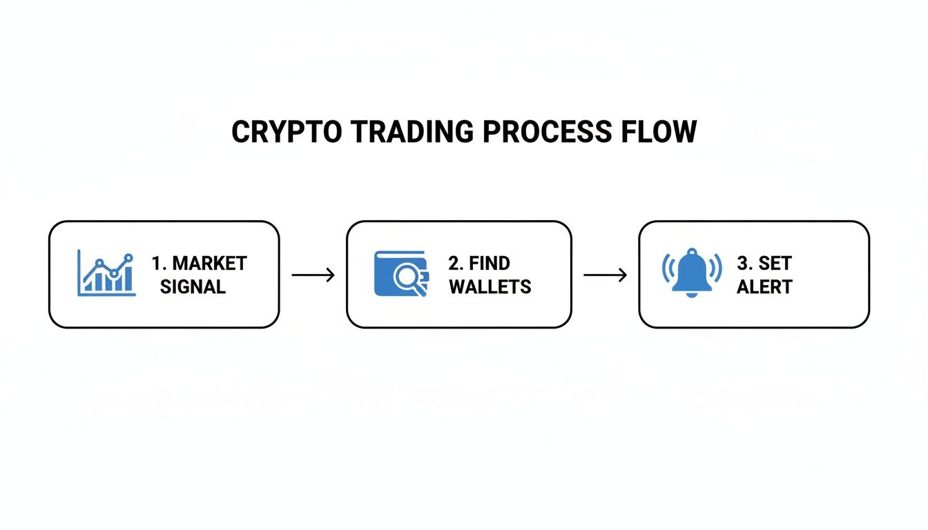 A flowchart showing the three steps of crypto trading: market signal, find wallets, and set alert.