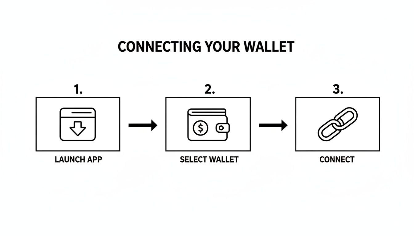A three-step diagram illustrates connecting a digital wallet: launch app, select wallet, and connect.
