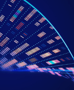 Report cover with an abstract design suggesting an information structure.