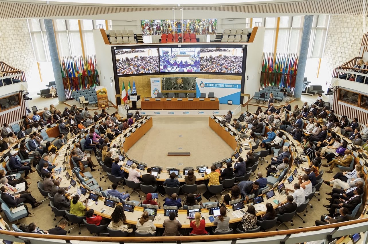 UNFSS+4 Stocktake: A Convening for Action, Accountability and Acceleration