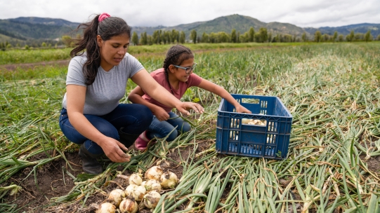 Five Years to Go: The Latest Numbers on the Sustainable Development Goals and How Businesses can Accelerate their Progress