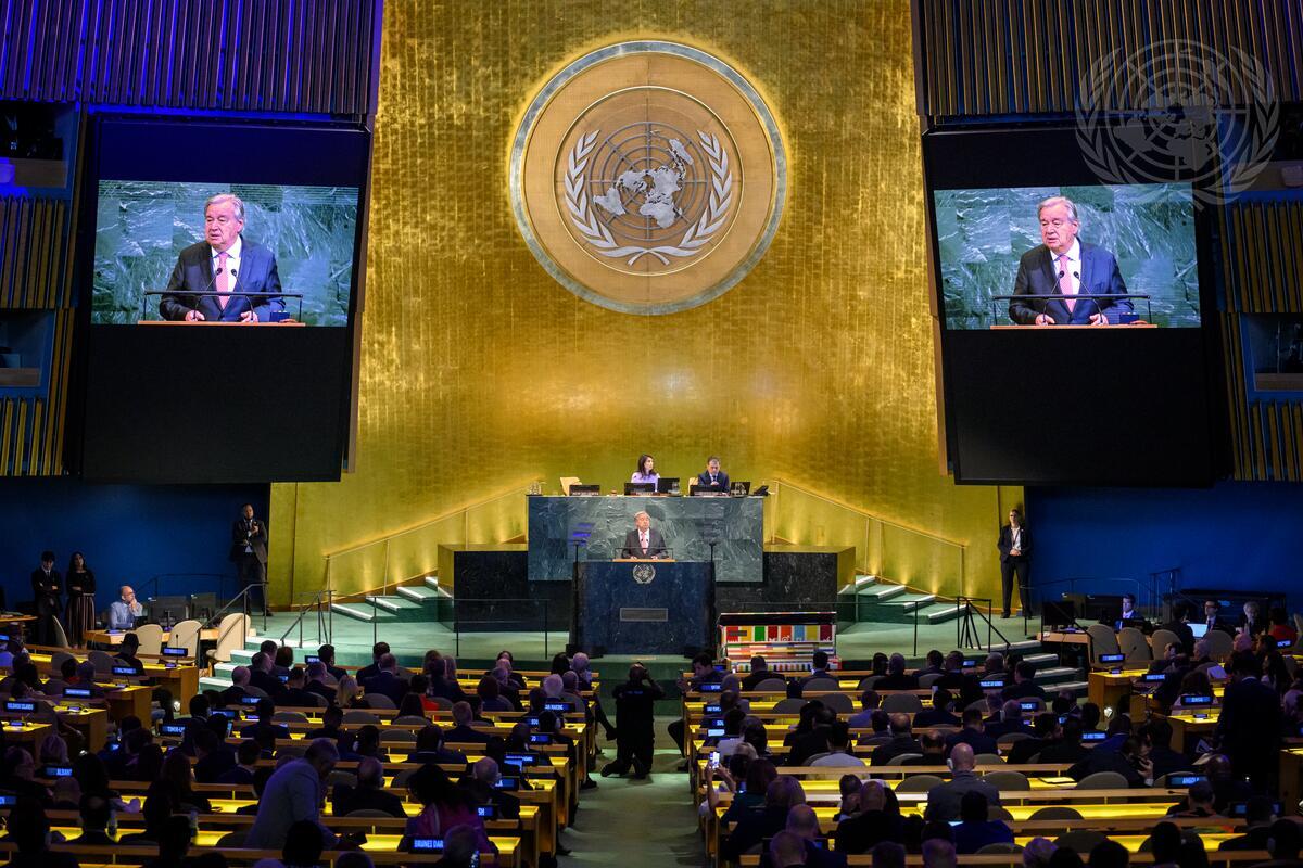 Five UNGA80 Takeaways Every Business Leader Needs to Know